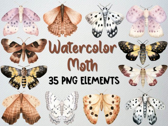 Download Watercolor Moth Clipart, Insect Clipart - Moth Collection