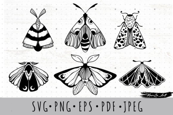 Download Magic Moth &amp; Butterfly SVG PNG Cliparts - Moth Collection