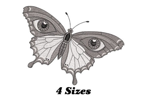 Download Beautiful Moth - Moth Collection